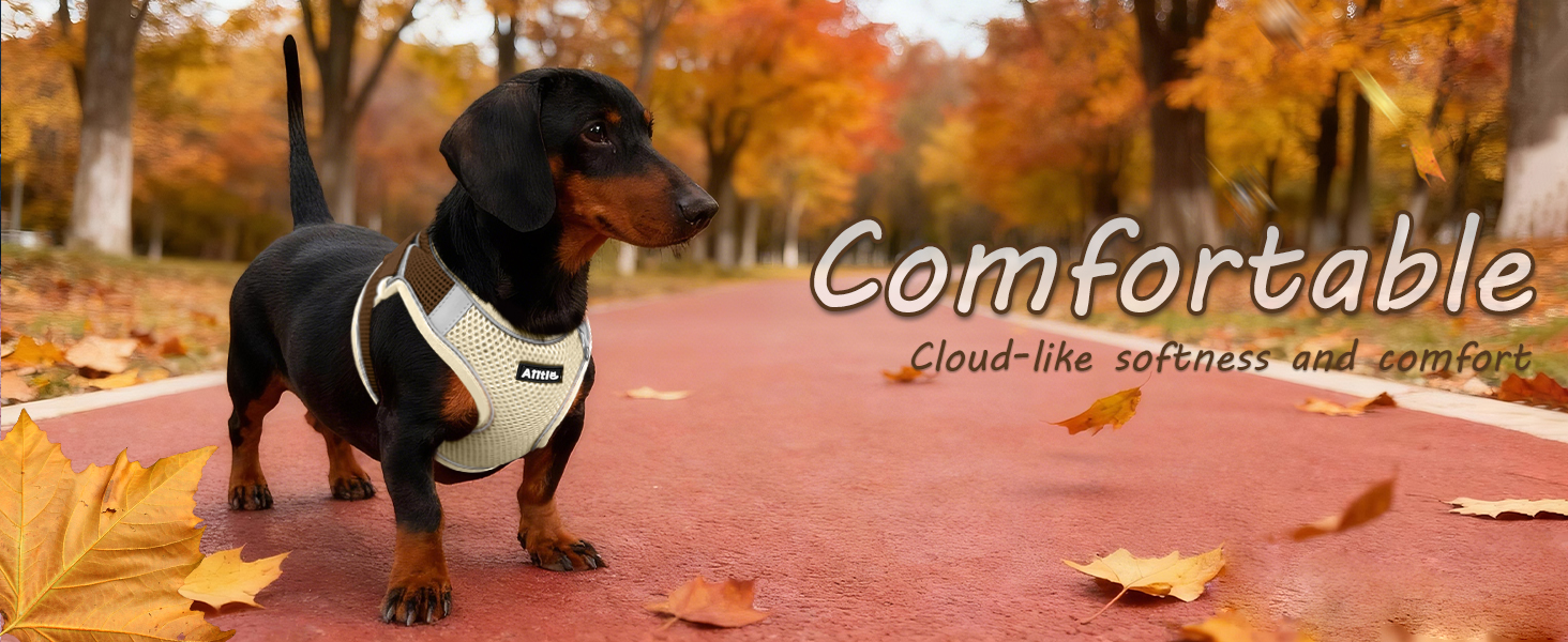 AIITLE Summer Soft Dog Harness and Leash Set