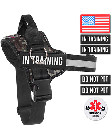 harness
