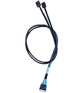 DiliVing SlimSAS 8X to 2*MiniSAS HD 4X,SFF-8654 74Pin to 2*SFF-8643 36Pin Cable 80cm(Broadcom MPN...