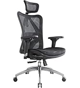 SIHOO M57 Ergonomic Mesh Office Chair, High Back Home Desk Chair with 3D Armrests, Lumbar Support...