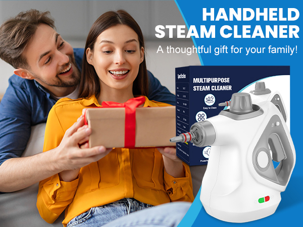 steam cleaner for car steam cleaner handheld
