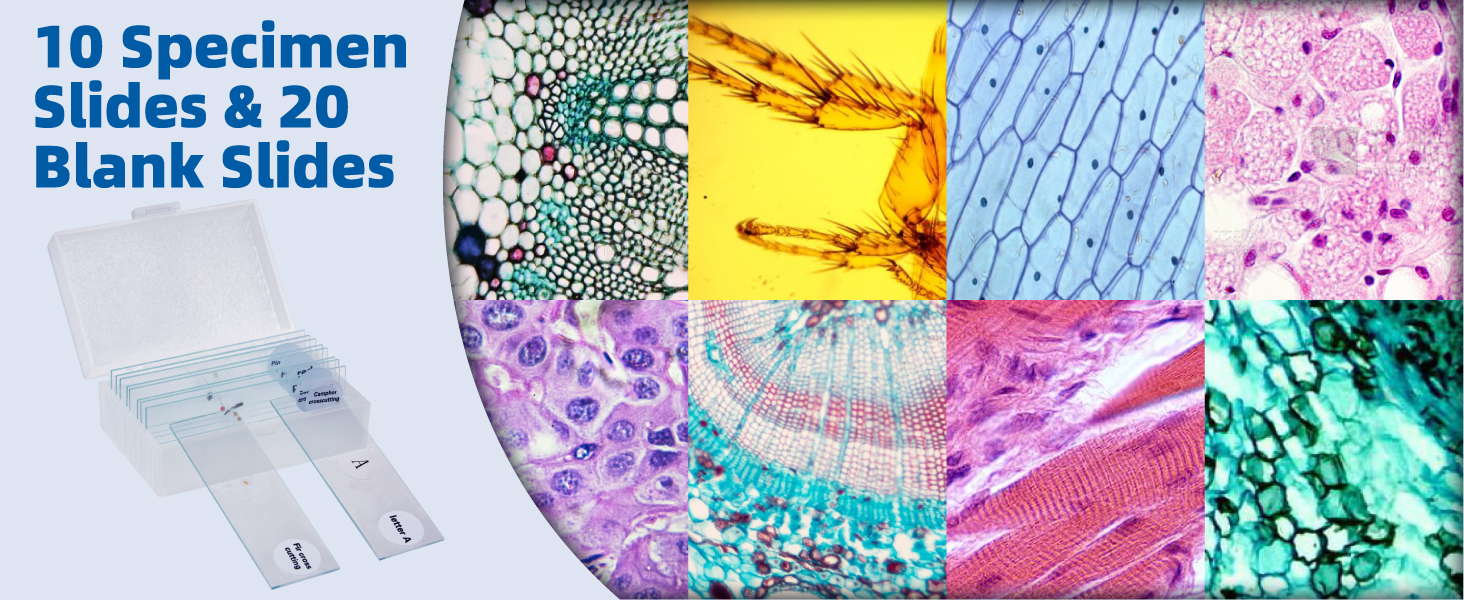 Monocular Microscope with LED Light