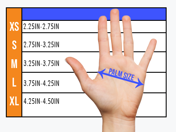 palm size chart