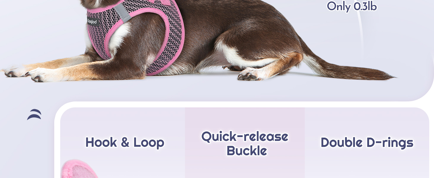 small dog harness