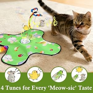 Ultimate Interactive Playtime for Cats