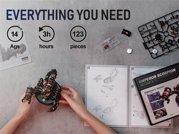 ROKR metal puzzles building kits