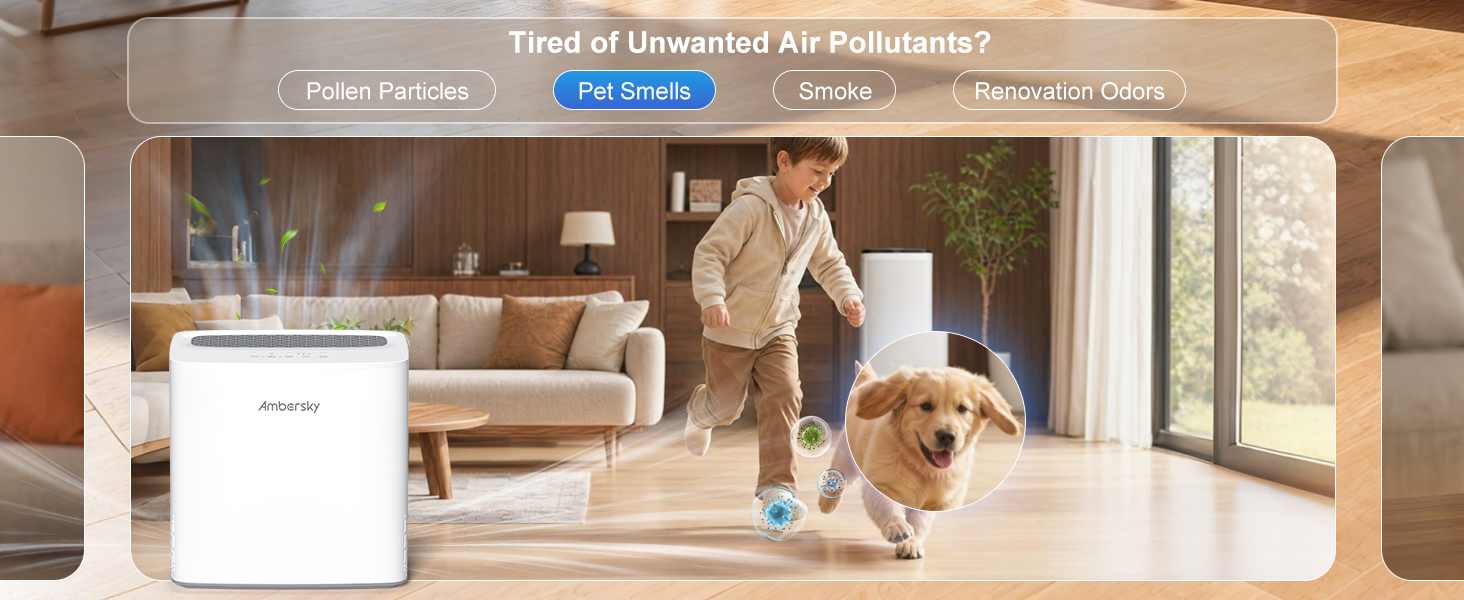 Air purifiers for home pets