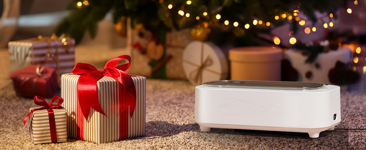 ultrasonic denture cleaner