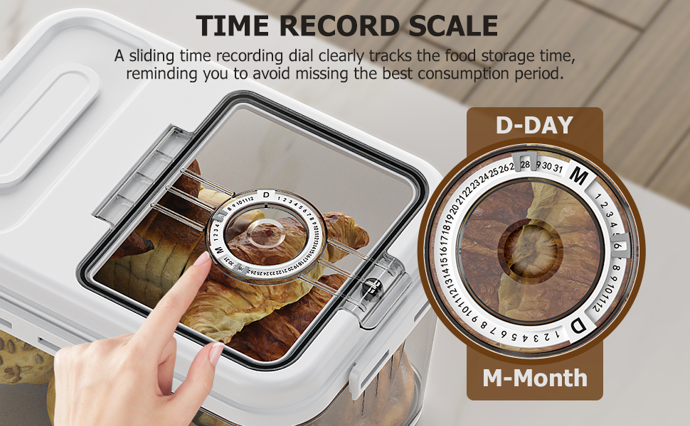 Time Record Scale