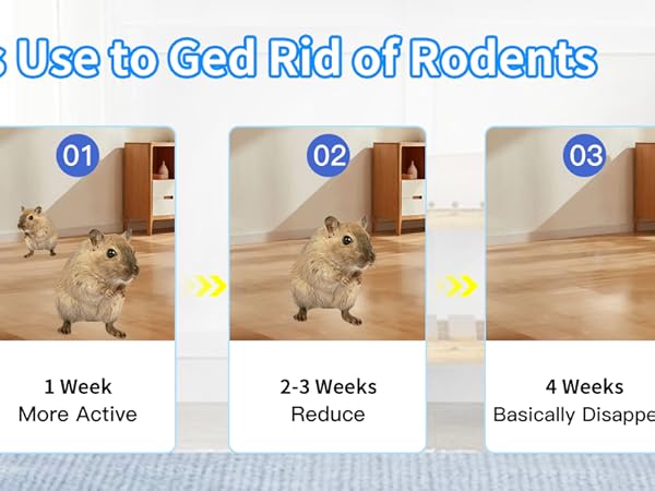 Pest Control for Rat Mice Spider Squirrel Roach