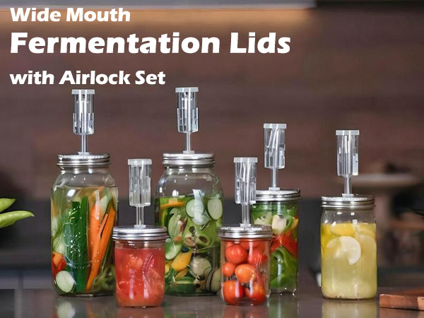 wide mouth fermentation kit