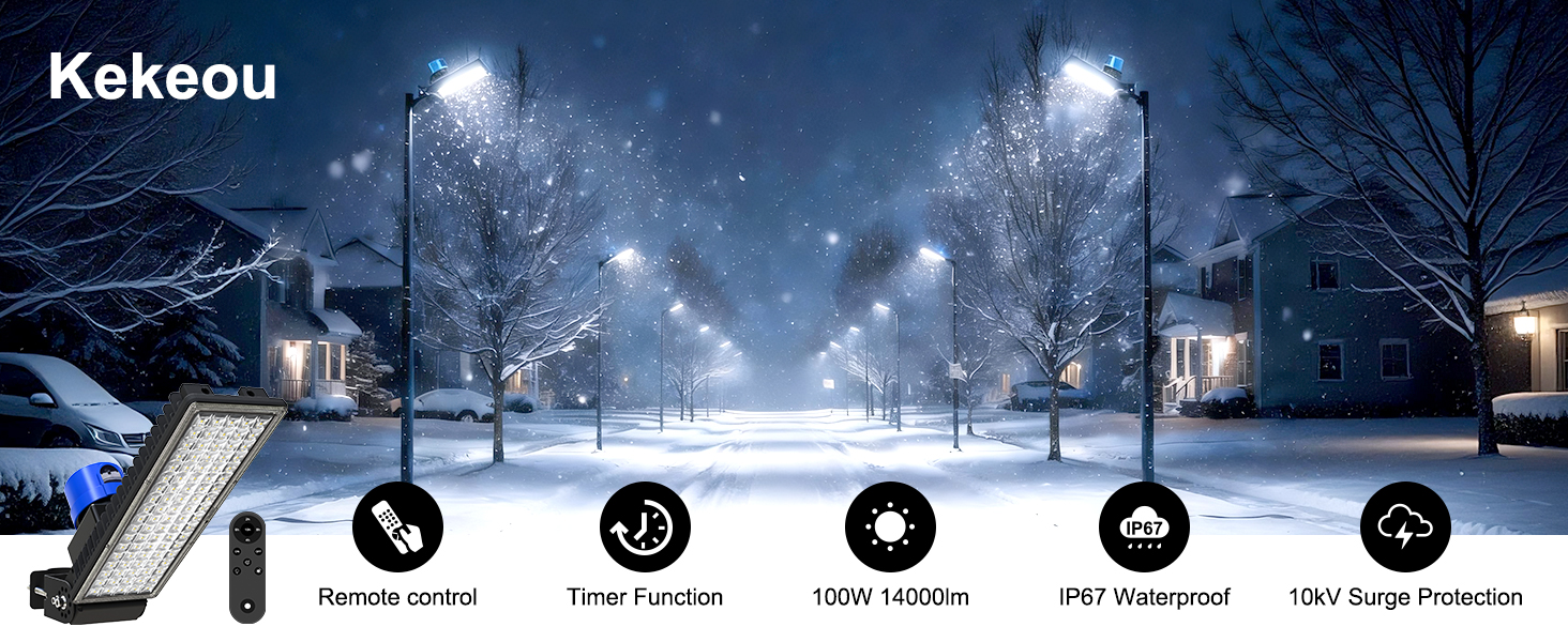 100W dusk to dawn led floodlight