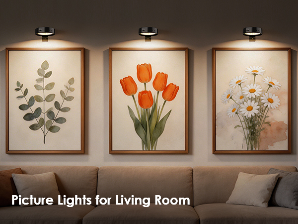 picture light