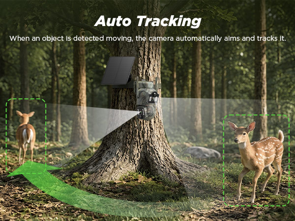 trail camera