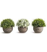 Opps Artificial Plastic Mini Plants Unique Fake Fresh Green Grass Flower in Gray Pot for Home Déc...