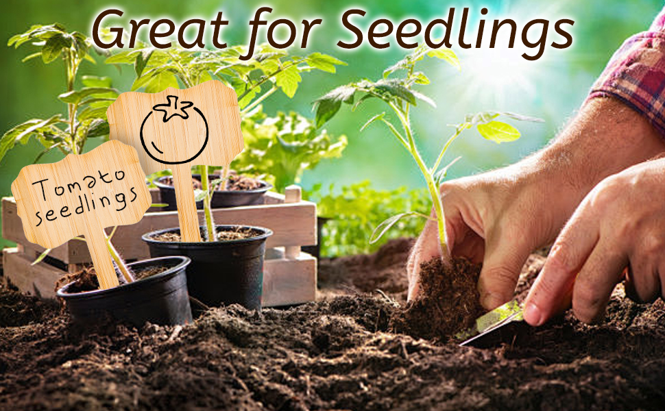 Great for outdoor seedlings