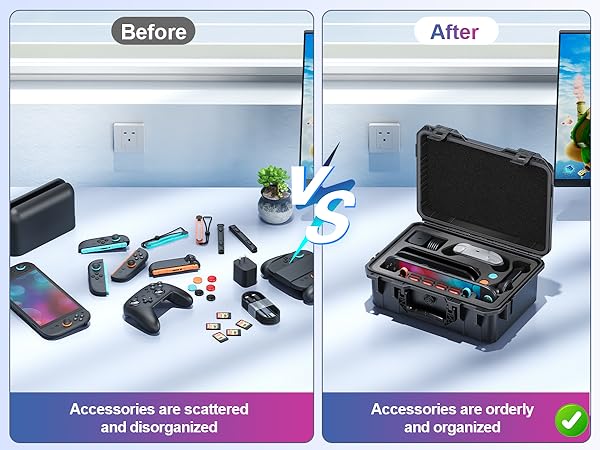 Organized hard case for switch 2 
