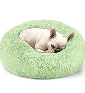dog bed