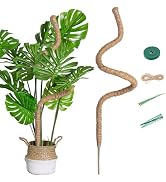 Mcbazel 63 Inch Moss Pole for Plants Monstera, Monstera Plant Support Stick, Bendable Moss Poles ...