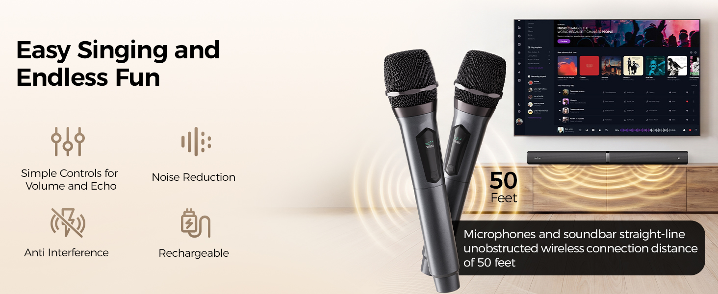 Two karaoke Wireless Microphones