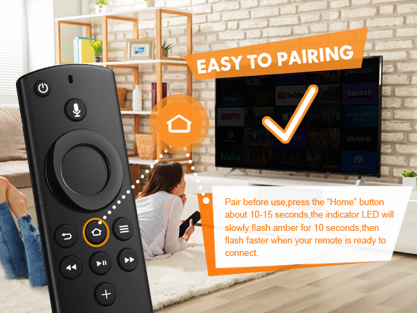 Replacement Voice Remote