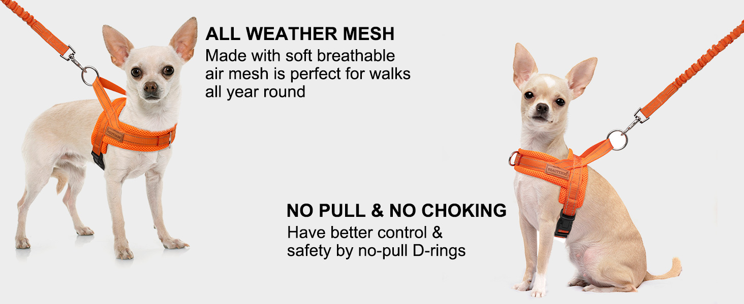 dog harness and leash set