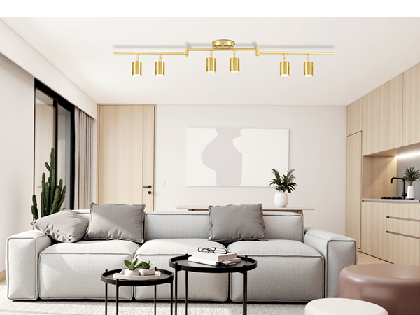 6 Ways Track Lighting Gold