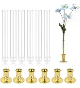 6 Pack 7.9" Glass Bud Vase Taper Candle Holder's Bud Vase for Flower Designed Specially for Taper...