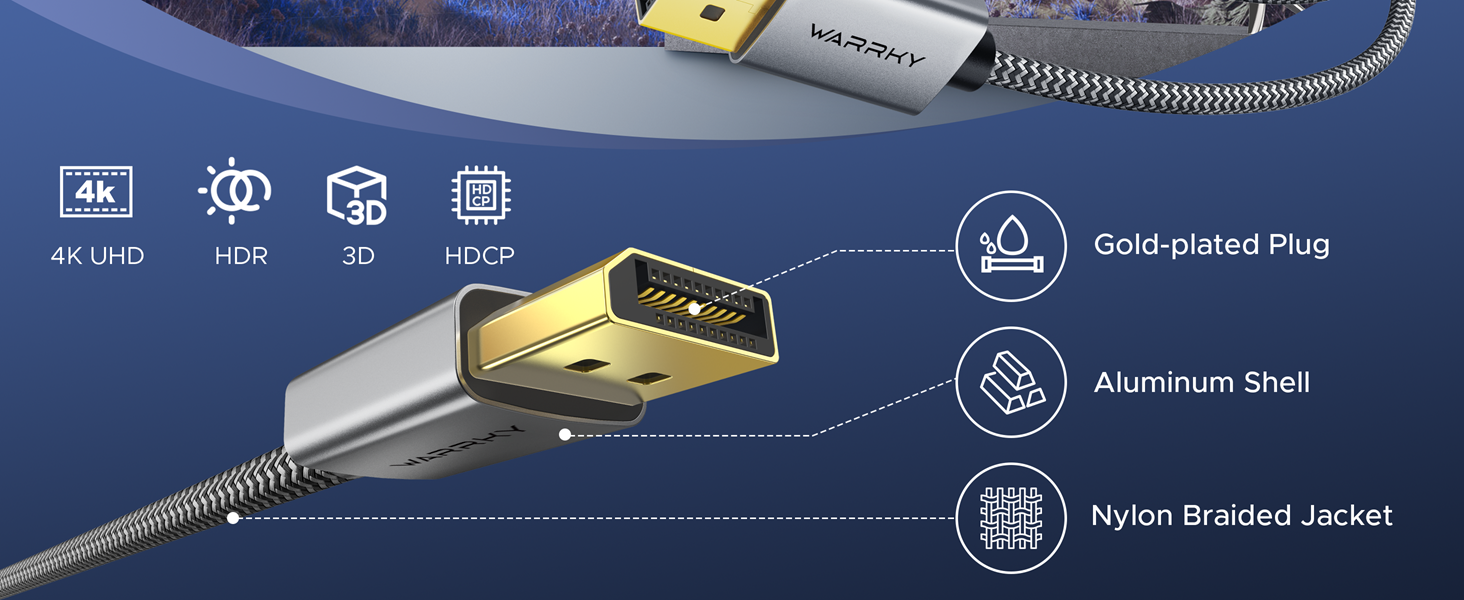 HDMI to DisplayPort Cable