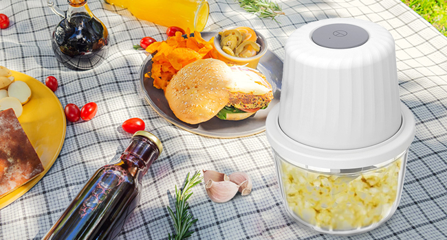 portable food processor