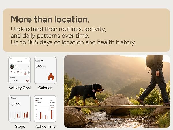 Smart Dog &amp;amp; Cat GPS Tracker