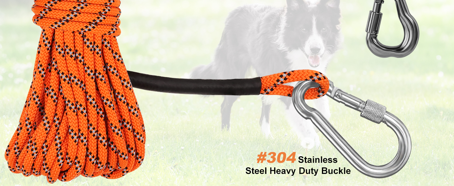 dog camping leash