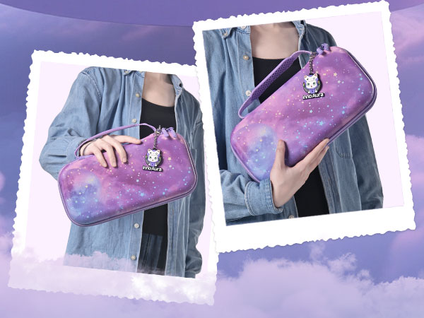 switch 2 organizer case