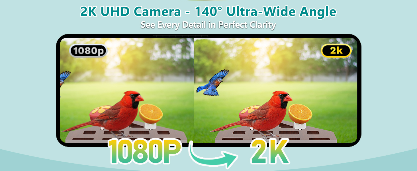 smart bird feeder with camera solar powered power wood wifi ai video live outdoor outside
