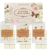 SCENTORINI Wax Melts, Premium Wax with Essential Oil, Scented Wax Melts, Natural Dried Flower, Pi...
