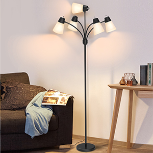 Gooseneck Reading Floor Light for Living Room