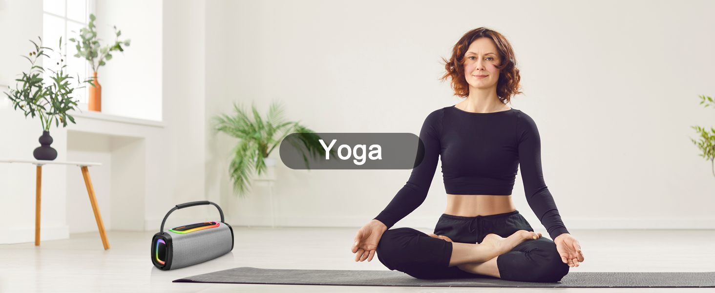 Portable Bluetooth Speaker