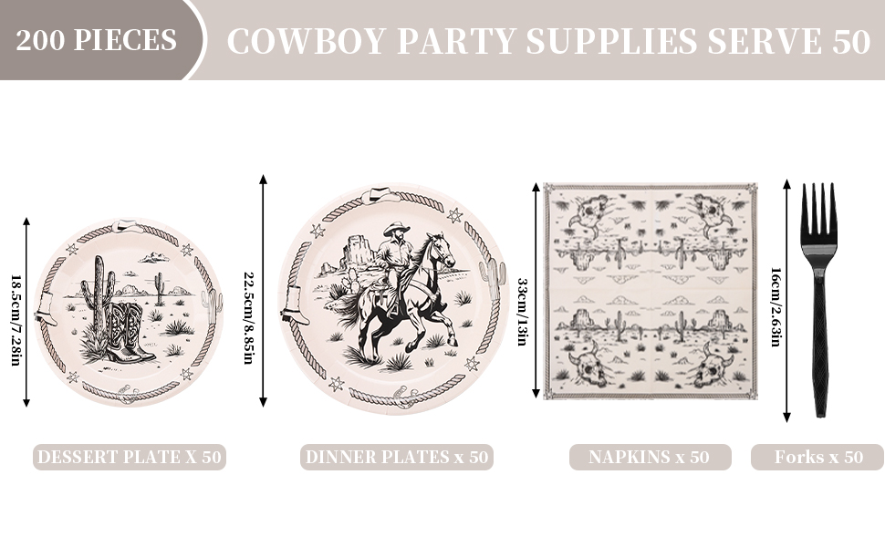 western party decorations
