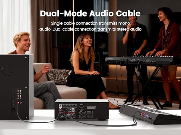 Dual-Mode Audio Cable
