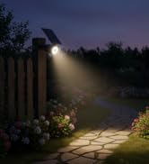 solar spot light with motion sensor