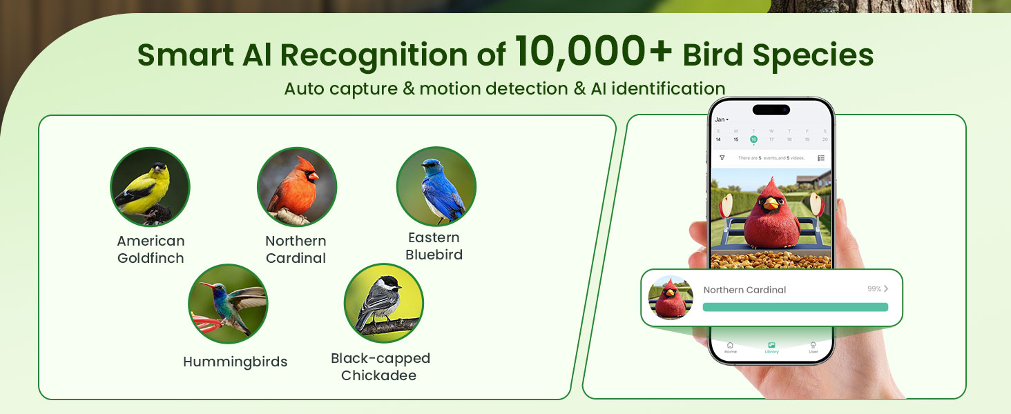 smart bird feeder with camera
