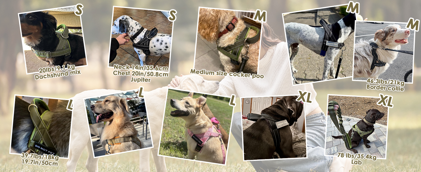 No pull dog harness