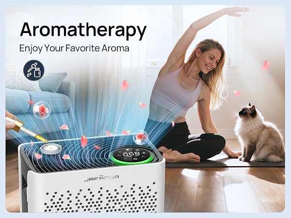 air purifier for cat litter smell