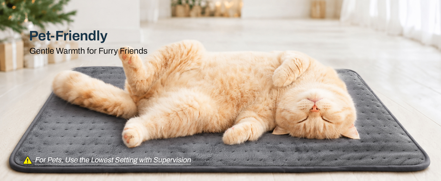 pet friendly