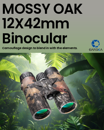 bino-1a
