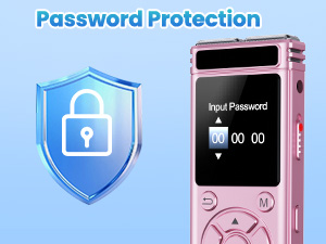 Password Protection