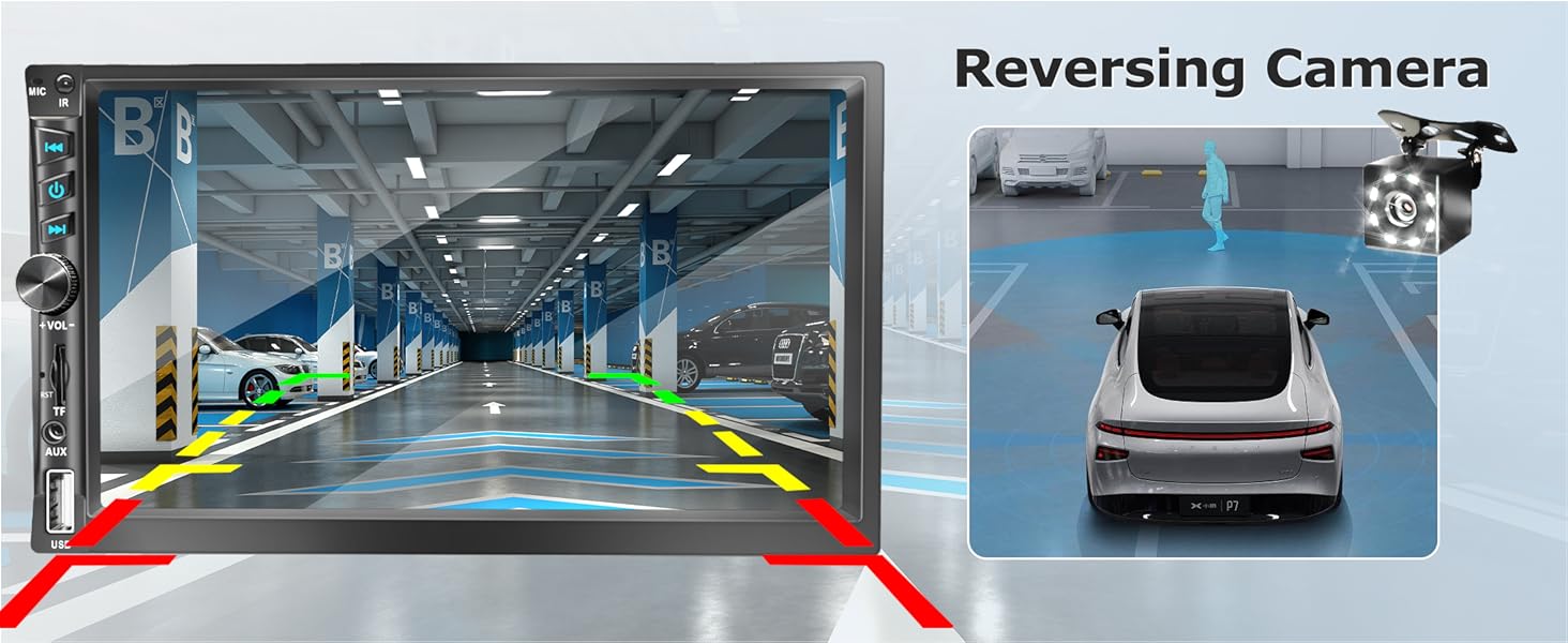 Reversing Camera Input