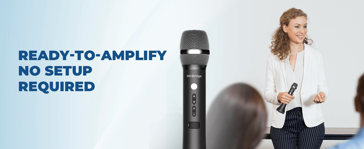 microphone and speaker set