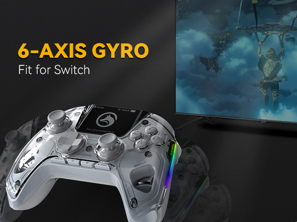 switch controller 6-AXIS GYRO