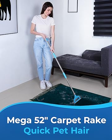broom, carpet rake, pet hair removal, floor squeegee, rubber broom, carpet brush